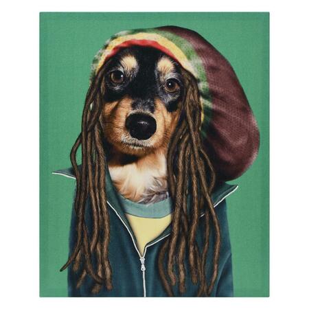 EMPIRE ART DIRECT High Resolution Pets Rock Giclee Printed on Cotton Canvas on Solid Wood Stretcher - Reggae GIC-PR011-2016